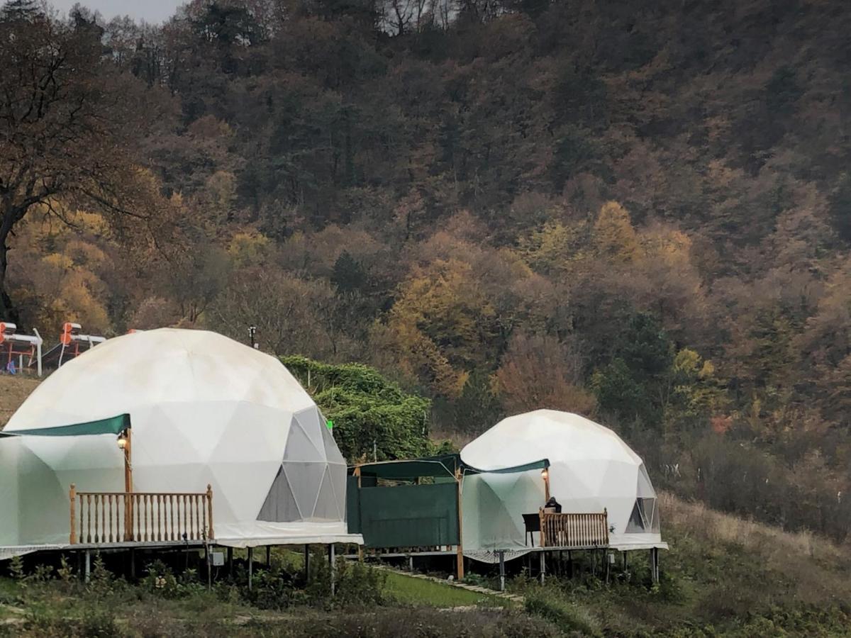 Отель Dengekoru Wildlife & Glamping Мудурну Экстерьер фото