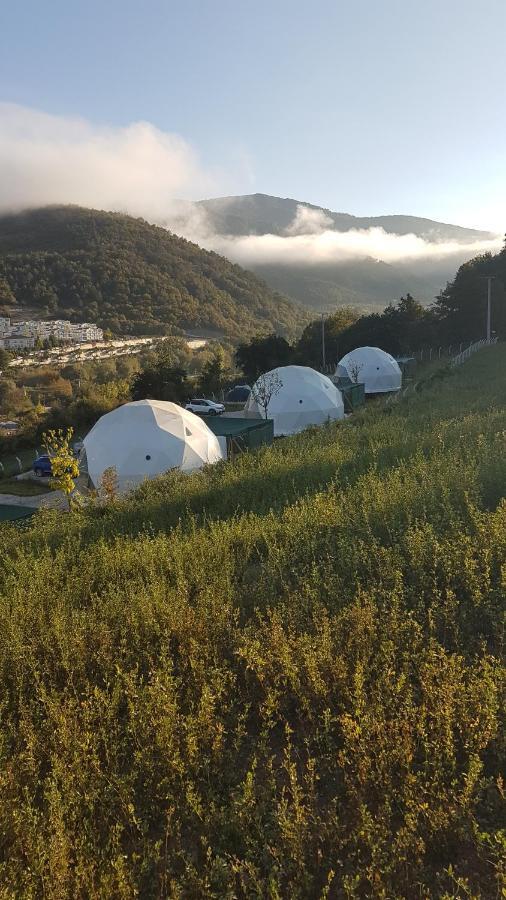 Отель Dengekoru Wildlife & Glamping Мудурну Экстерьер фото