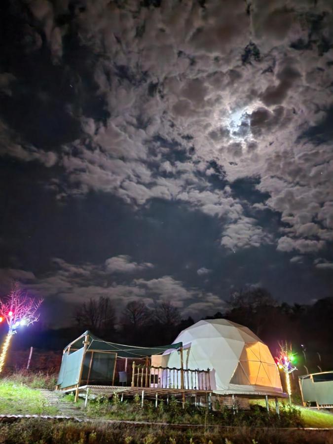Отель Dengekoru Wildlife & Glamping Мудурну Экстерьер фото