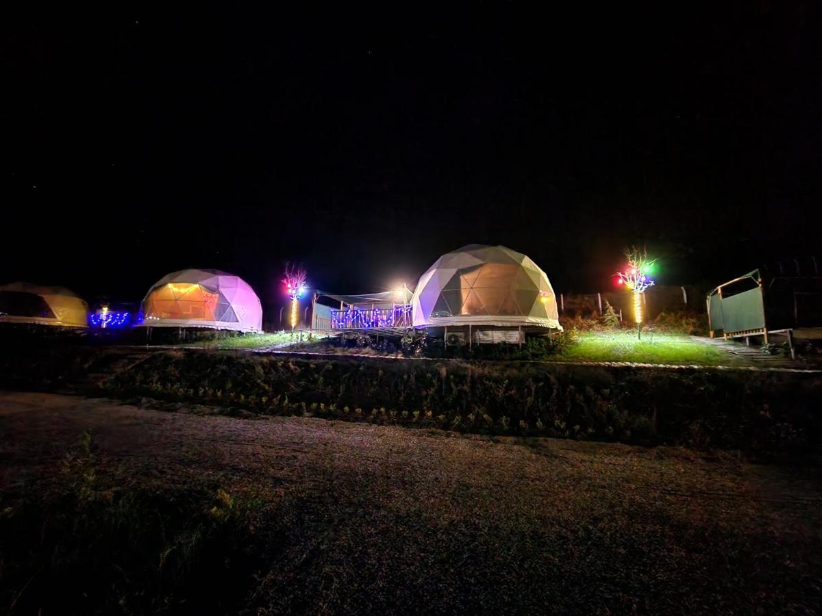 Отель Dengekoru Wildlife & Glamping Мудурну Экстерьер фото